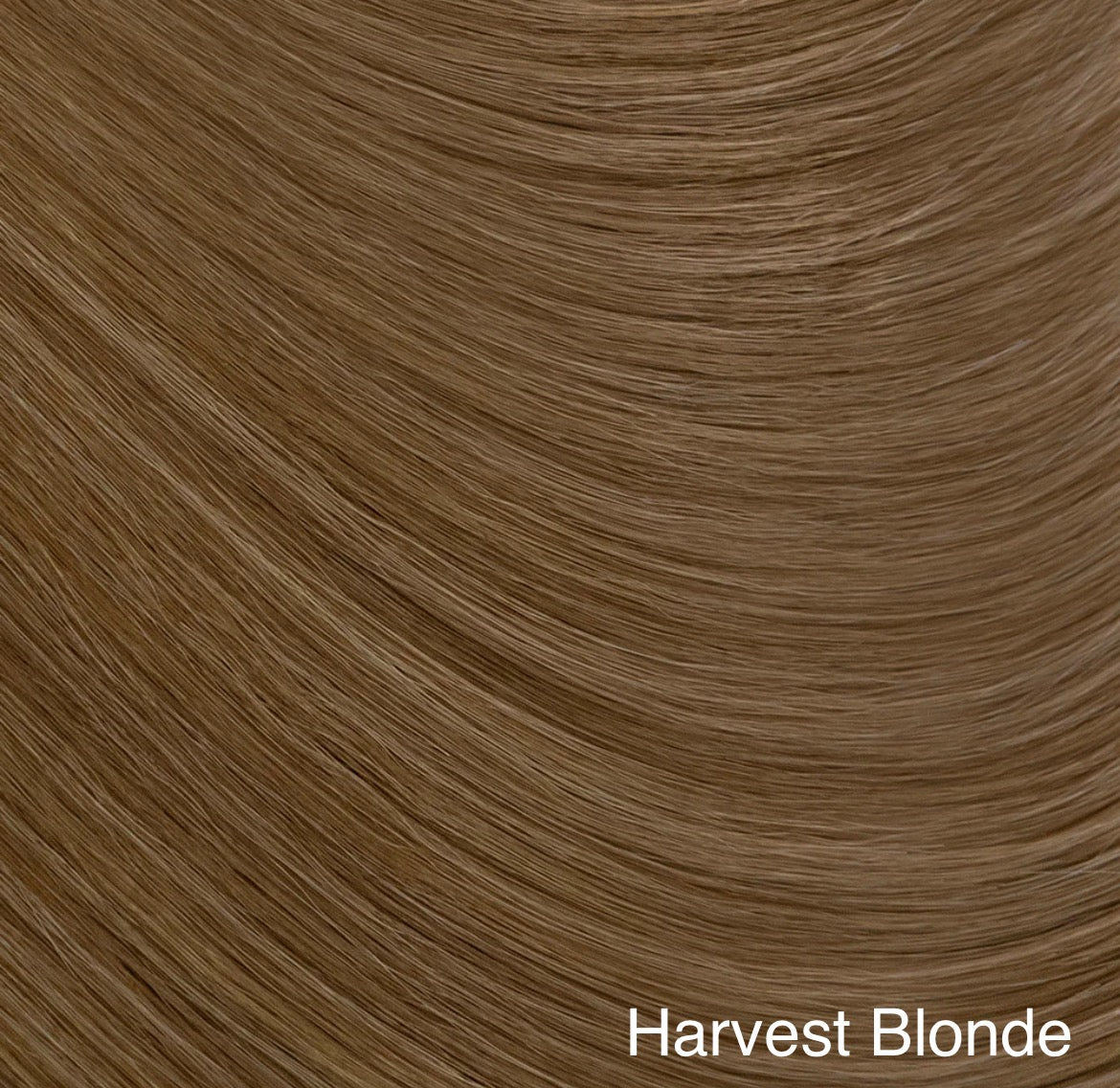 Five piece loose curl 20"